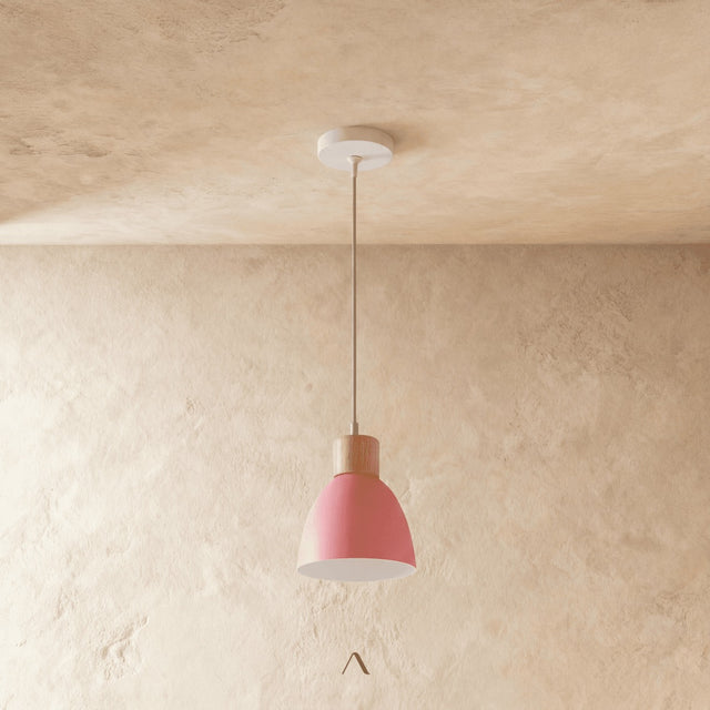Transom Pendant Light