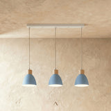 Transom Pendant Light