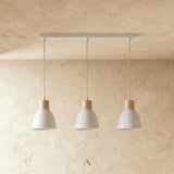 Transom Pendant Light