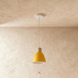 Transom Pendant Light