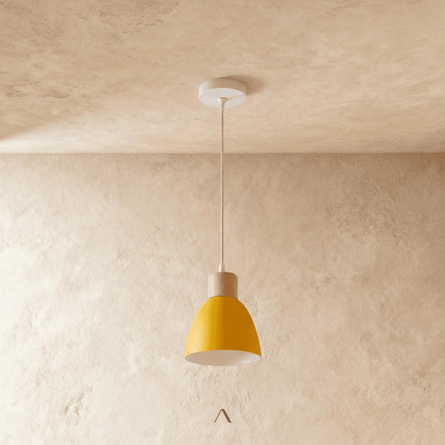 Transom Pendant Light