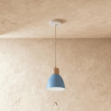 Transom Pendant Light