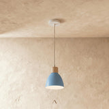 Transom Pendant Light