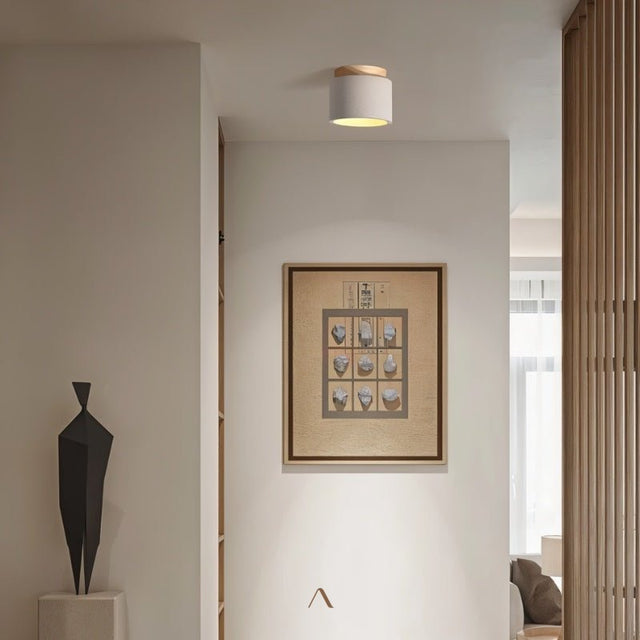 Trarbach Downlight