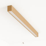 Treis Ceiling Light