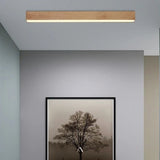 Treis Ceiling Light