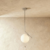 Twig Pendant Light