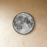 Velvet Wall Lamp