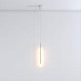 Zoom Pendant Light