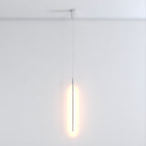 Zoom Pendant Light