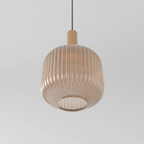 Transept Pendant Light