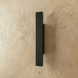 Vidja Outdoor Wall Lamp