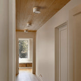 Viladrau Ceiling Light