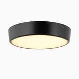 Balzheim Ceiling Light
