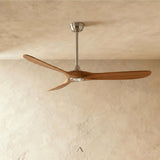 Vogelsberg Ceiling Fan