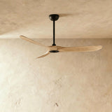 Vogelsberg Ceiling Fan