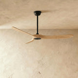 Vogelsberg Ceiling Fan