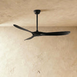 Vogelsberg Ceiling Fan