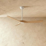 Vogelsberg Ceiling Fan