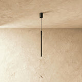 Zoom Pendant Light