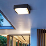 Amore Outdoor Surface Mount Light
