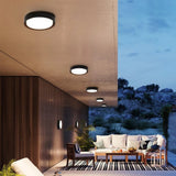 Orbis Surface Mount Light