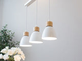 Solskin Pendant Light