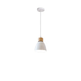 Solskin Pendant Light