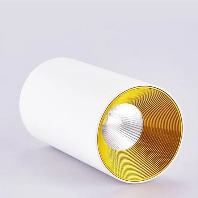 Wilhelm Downlight