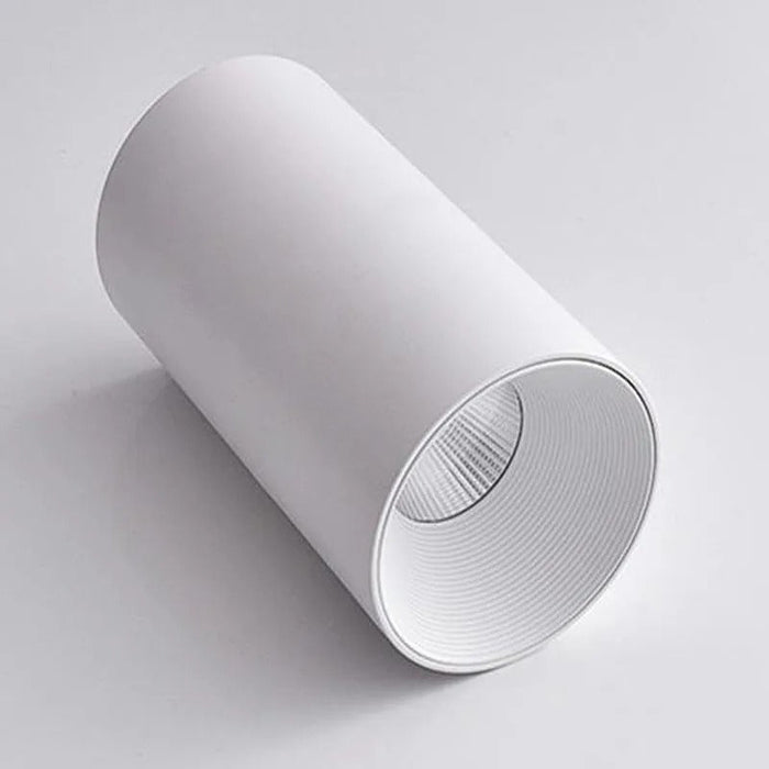 Wilhelm Downlight
