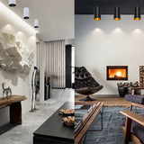 Wilhelm Downlight
