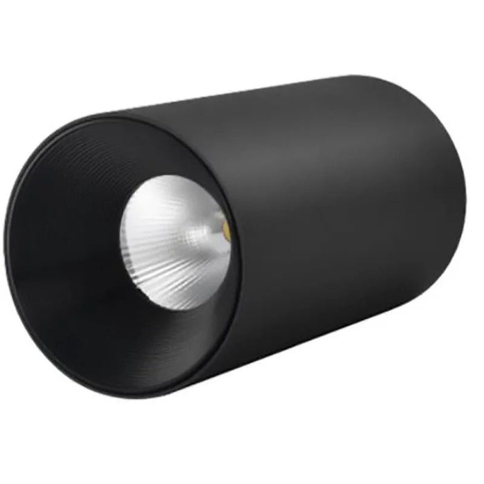 Wilhelm Downlight
