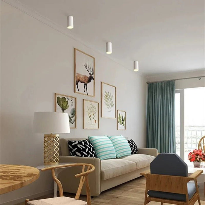 Wilhelm Downlight