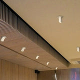 Luxe Halo Downlight