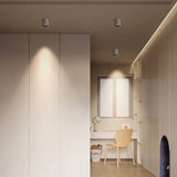 Amélie Downlight