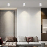 Nadja Downlight
