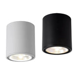 Nadja Downlight