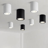 Nadja Downlight
