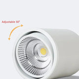 Nadja Downlight
