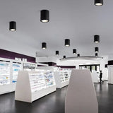 Nadja Downlight
