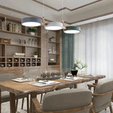 Chroma Glow Pendant Light