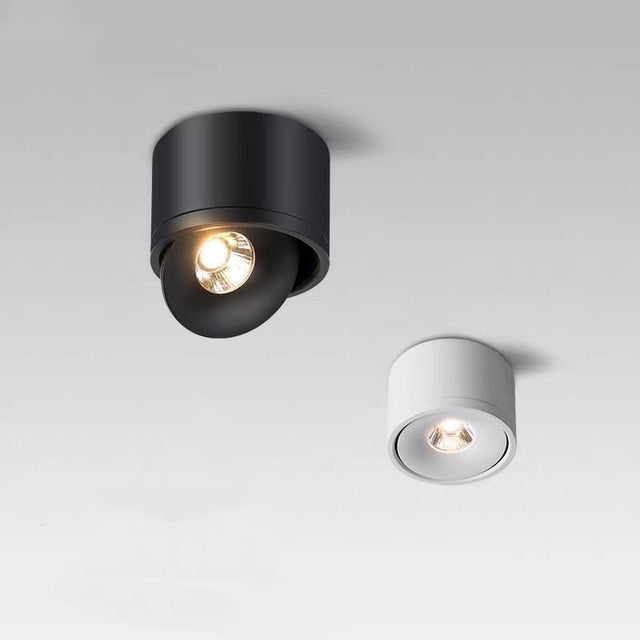 Aurora Ceiling Light