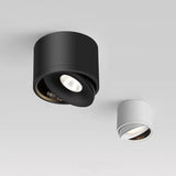 Aurora Ceiling Light